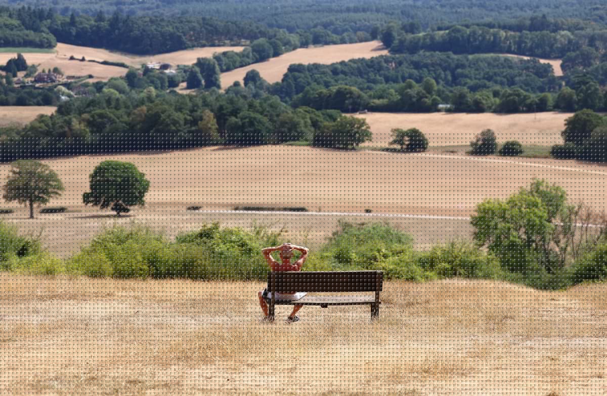 London temperatures to hit as high as 33C on Monday as amber heat alert comes into force