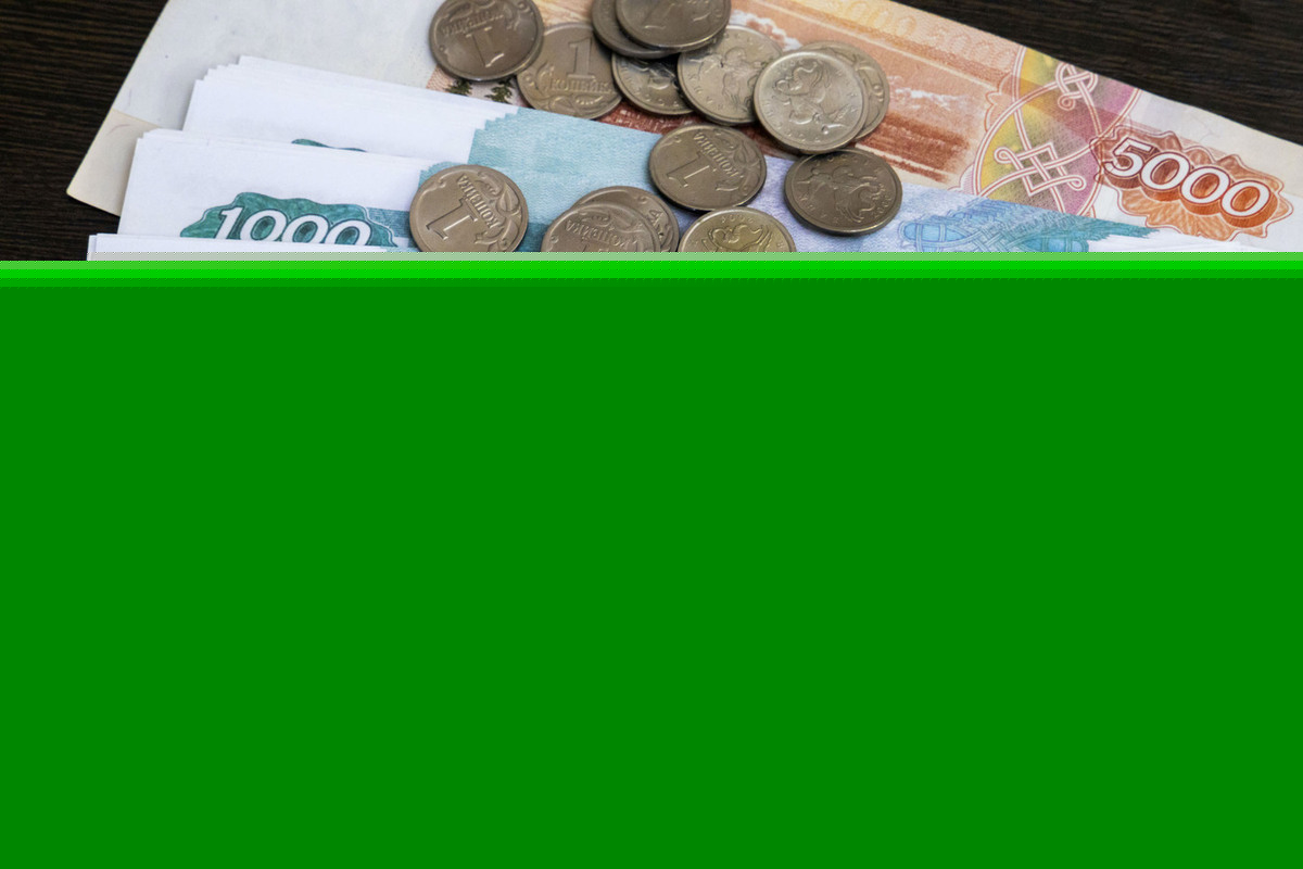 Зарплаты сканировщиков в Челябинской области выросли на 53%