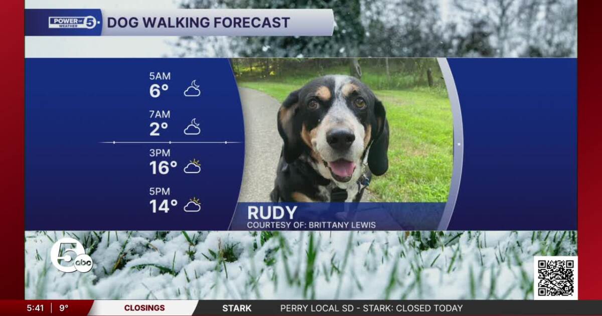 Thursday Dog Walking Forecast: Still tracking snow