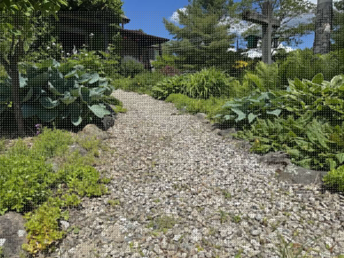 Houseworks: The low-maintenance outdoor pathway that actually lasts