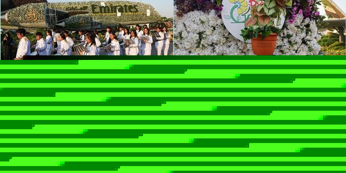 Dubai hap sezonin e ri në “Kopshtin e Mrekullive” - 150 milionë lule në kopshtin më të madh natyror me lule në botë