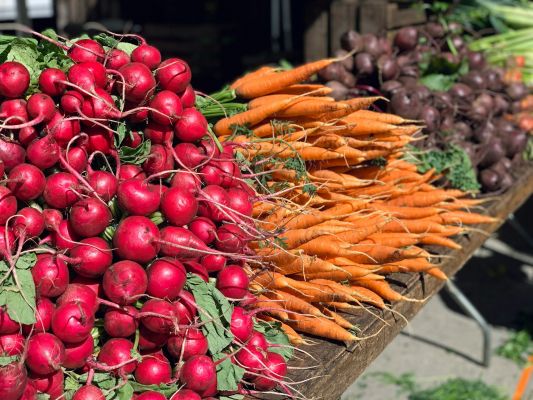 Один важный для России продукт подешевел почти на 30%