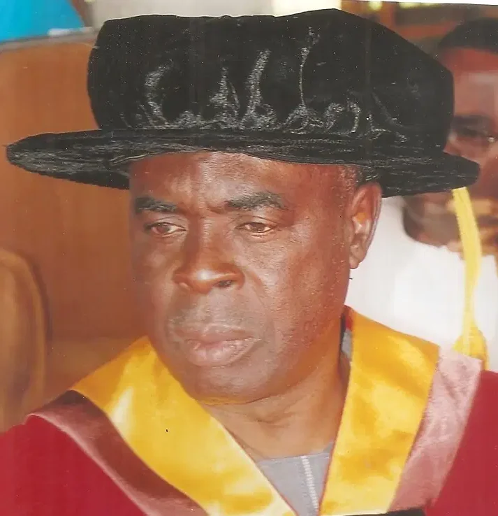 Opata Defends Tinubu’s ‘All Is Fair in Politics’ Remark