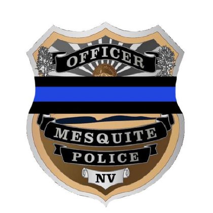 Mesquite Police Department Call Log, January 20