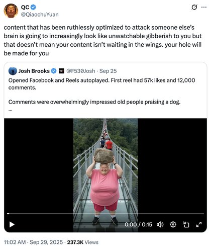 AI Lady With Rock Breaking Glass Bridge - content that has been ruthlessly optimized to attack someone else’s brain is going to increasingly look like unwatchable gibberish to you