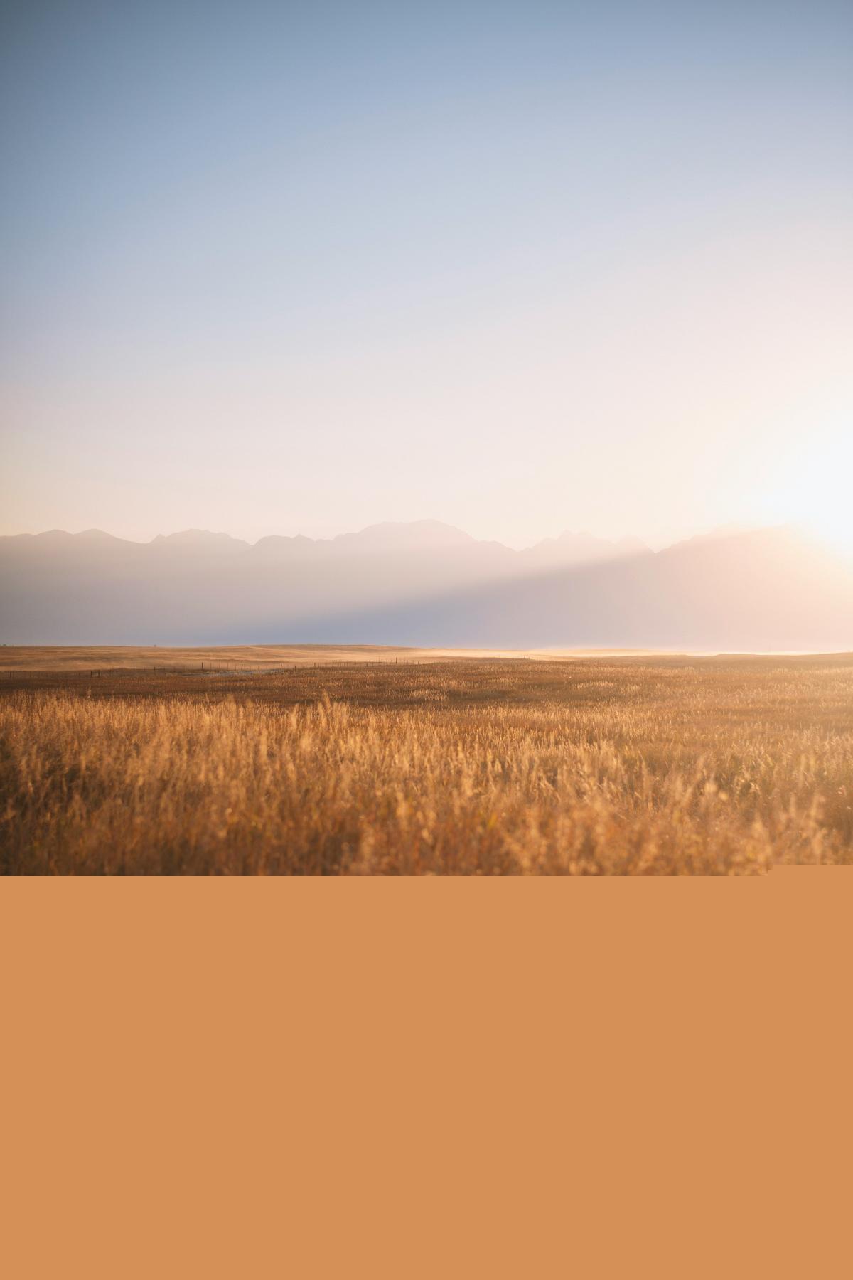 Montana Is Ranked 17th For Underprivileged Children. Here's Why.