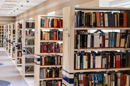 Comment on Where Did All the Libraries Go? by Gillian Holmes