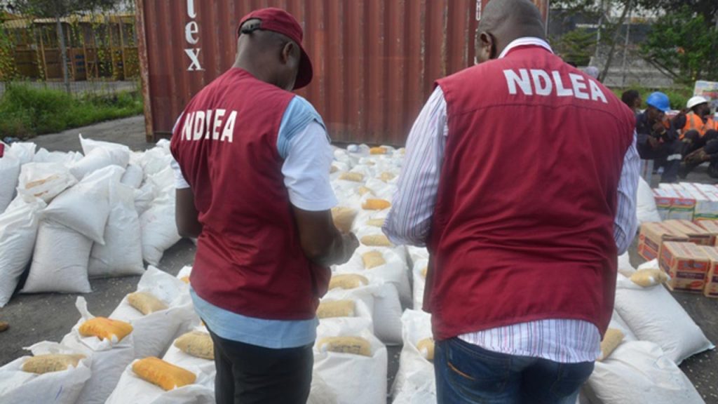 NDLEA Seizes Massive Skunk Haul In Rice Shafts, Nabs Traffic Suspect