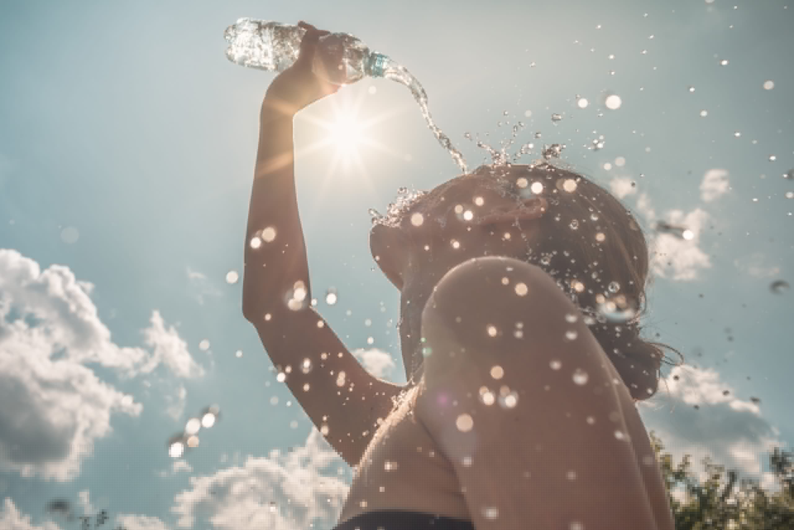 How heatwaves affect what we drink