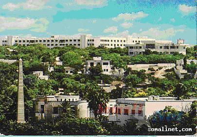 Kleptocracy and Nepotism: The Family Business of Somalia