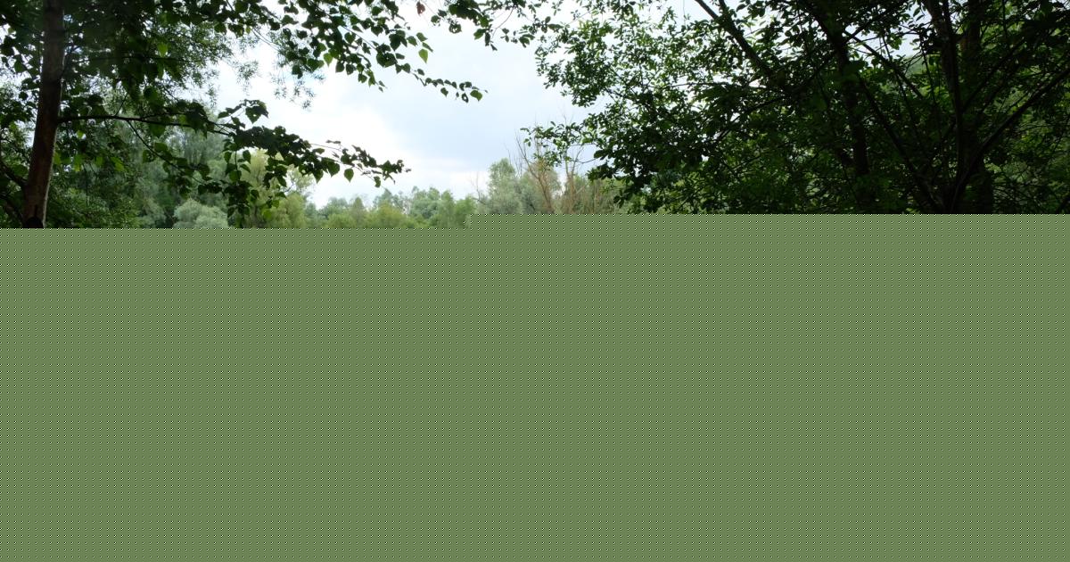Major expansion to make nature reserve one of largest in county is approved