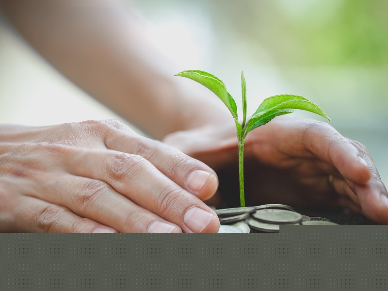 PSP Investments reach $75.5 billion for green asset holdings in fiscal 2025: report