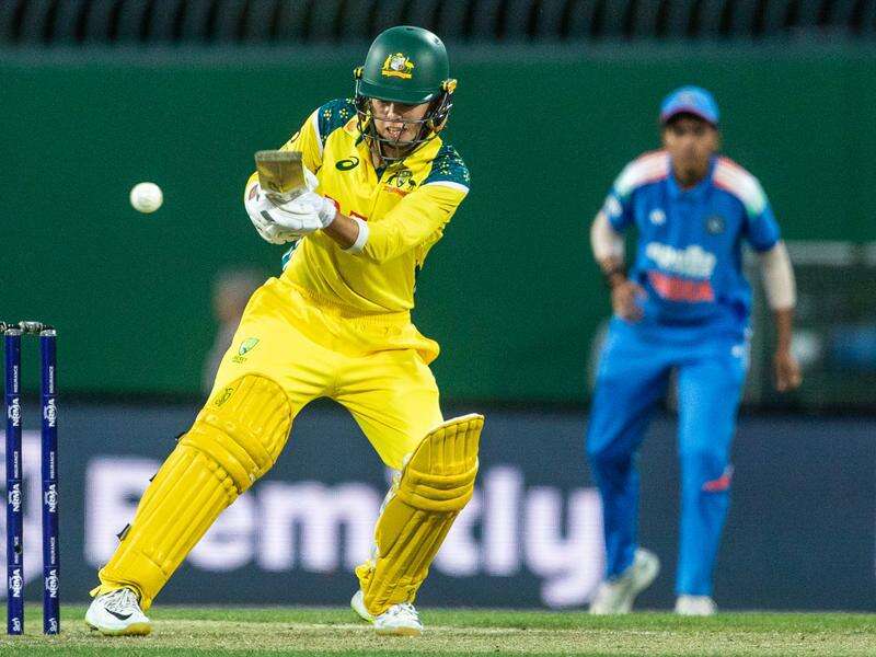 Litchfield hits fastest fifty to light up Sunrisers