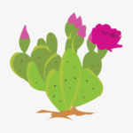 Comment on Stuck in a Moment:     Remembering Mom Part 1. by Anonymous