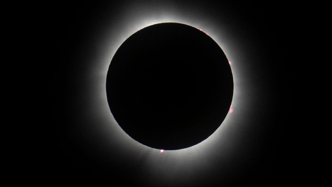 Die große Sonnenfinsternis  - Alle schauen nach oben!