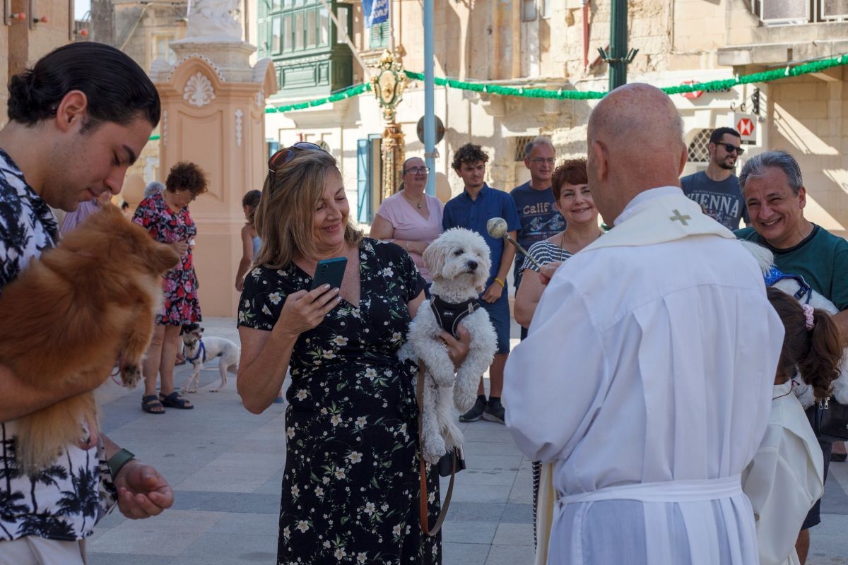 Pet blessings on the feast day of Francis of Assisi