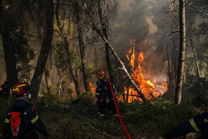 Heatwave drives €3.1 billion wildfire damage across Europe