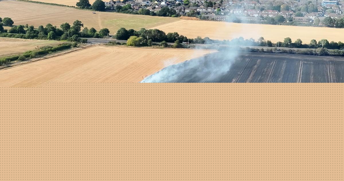 Firefighters tackle record 63 grass fires in a single day as heat grips capital