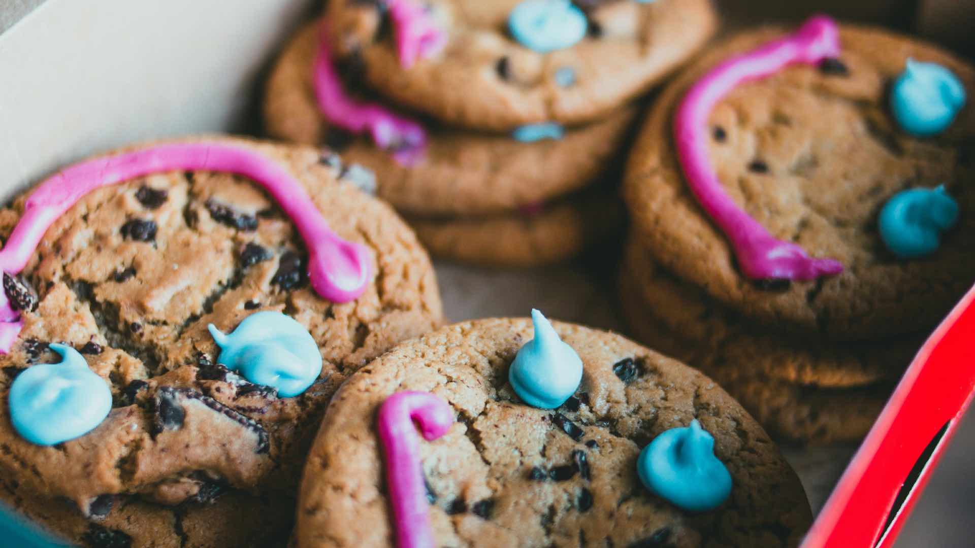 Erin Reed’s transgender Girl Scouts sell over 71,000 cookie boxes, bringing hope to trans youth