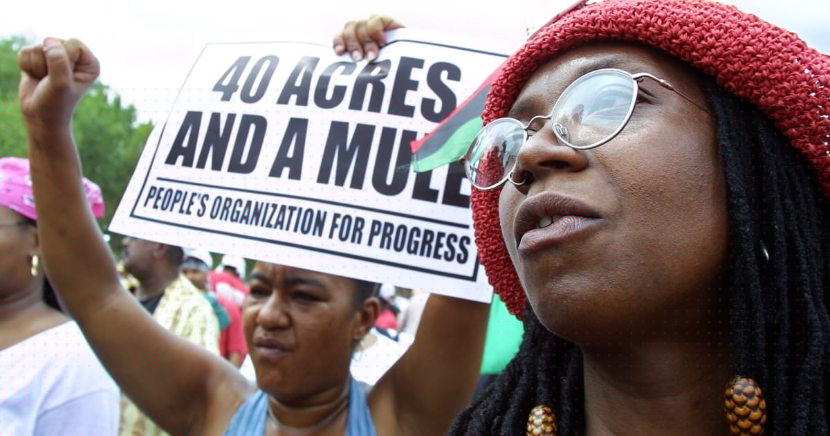 William Darity Jr.: The Government Broke Its Promise to Freed People. There's a Price to Pay.
