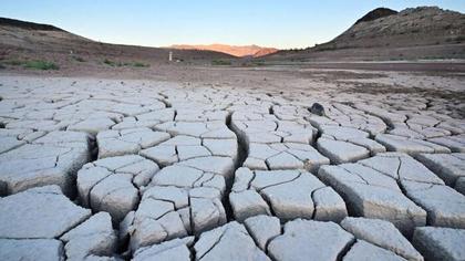 Farmers, Ranchers In 49 States To Get IRS Tax Relief Due To Drought