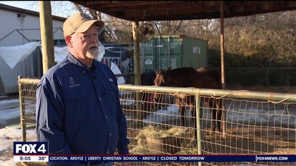 Argyle nonprofit horse therapy needs help after roof collapse