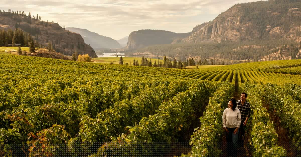 Let Nature Nurture You in the Valleys & Vineyards of British Columbia