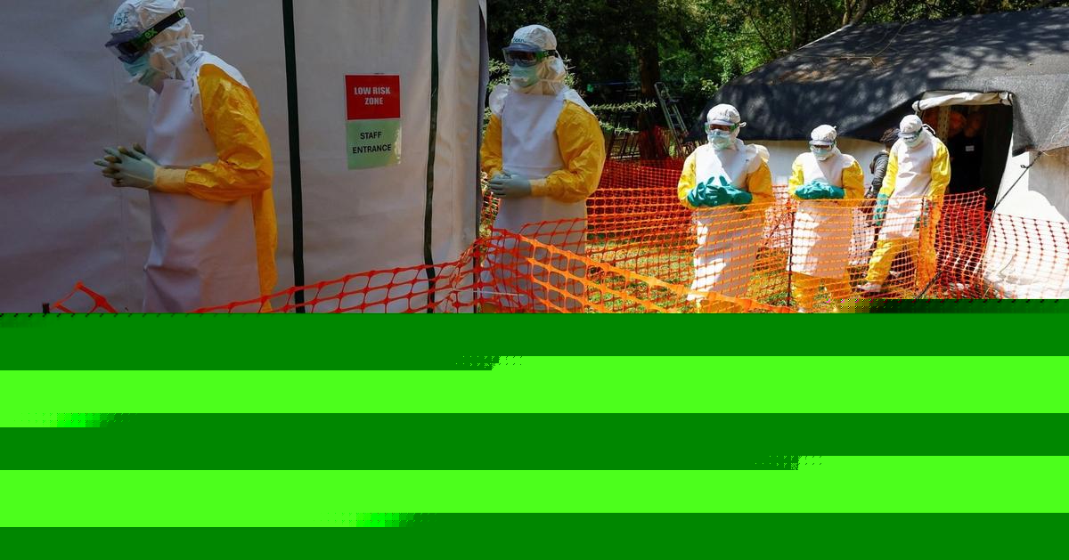 Ebola spread undetected for months, WHO says