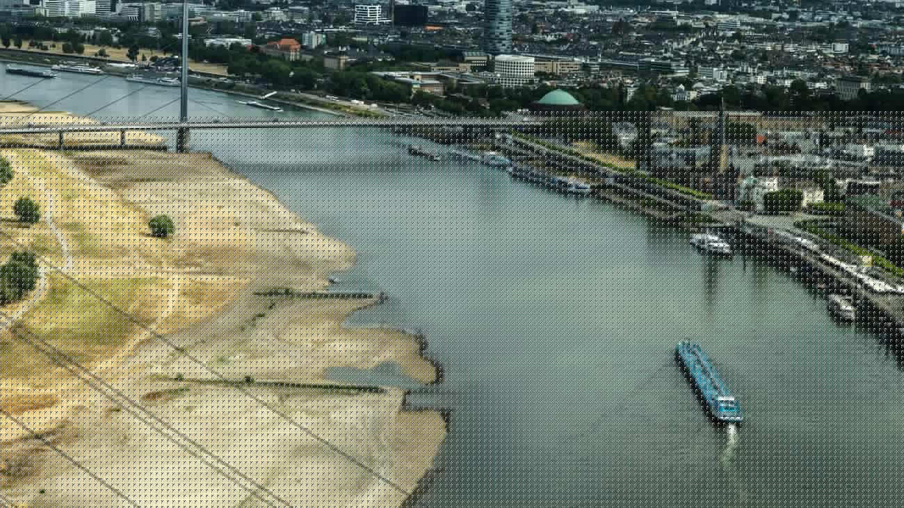 Dürre in Europa: Niedrigwasser am Rhein zwingt Logistik auf Schiene und Straße