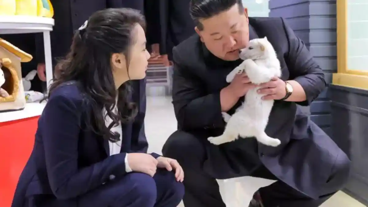 Suhu Capai 40 Derajat, Korea Utara Sarankan Warganya Konsumsi Sup Daging Anjing