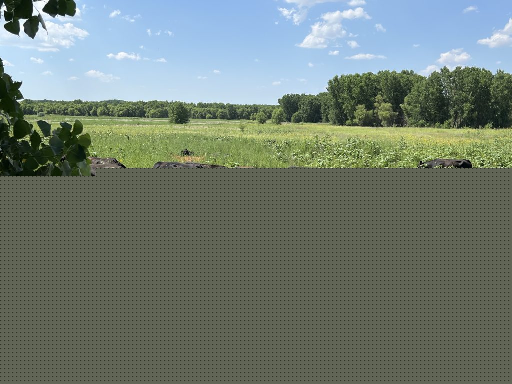 Colorado: Bonny Reservoir adaptive grazing demonstration project