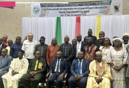 Government Allocates FCFA 12.5 billion to Boost Livestock and Fisheries Output in 2026