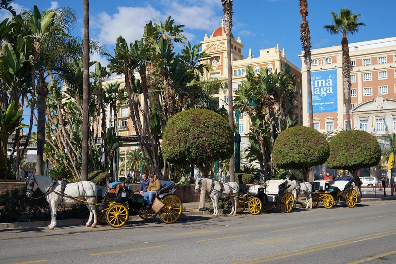 Should horse carriage rides be banned?
