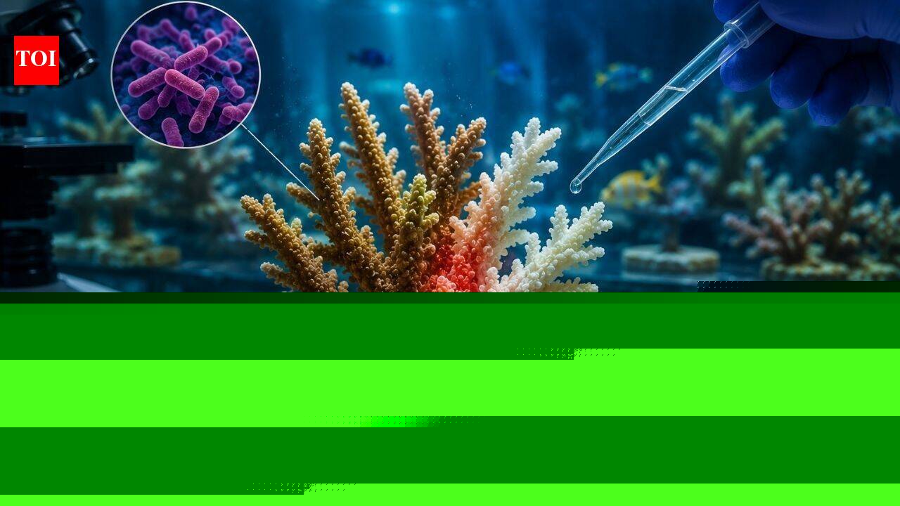 Over half of infected Caribbean corals resisted widespread bleaching