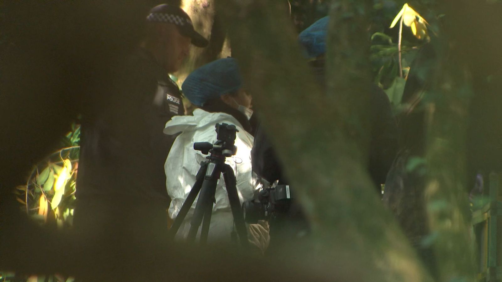 Forensic search for human remains in remote woodland enters fourth month
