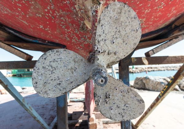 Tyrosine-derived polybenzoxazine coatings offer eco-friendly marine anti-fouling solution