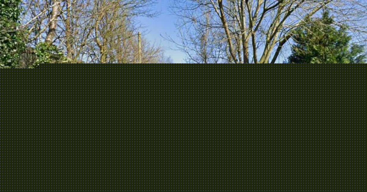 Plans to self-build retirement bungalow in garden of existing home