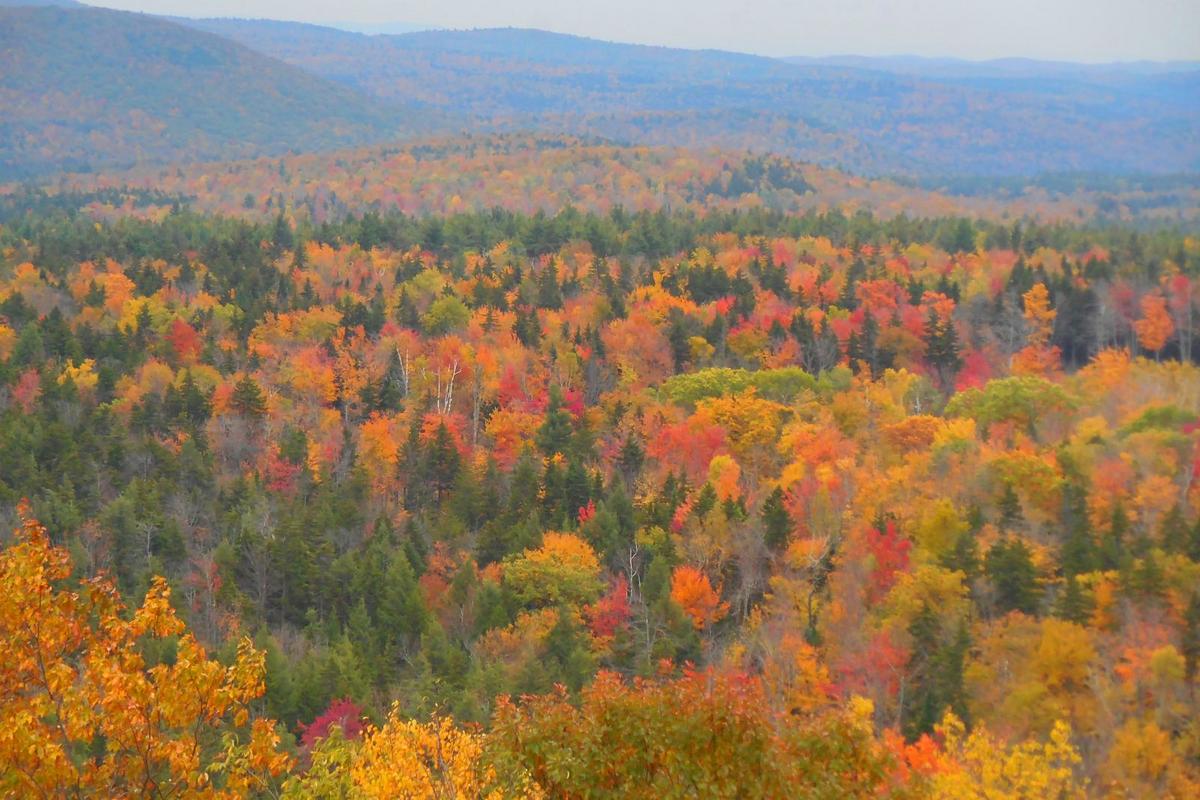 Ultimate Leaf-Peeping! Hop on One of These Northeast Ski Lifts