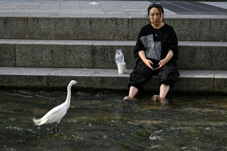 South Korea records its highest-ever temperature of 42.5C
