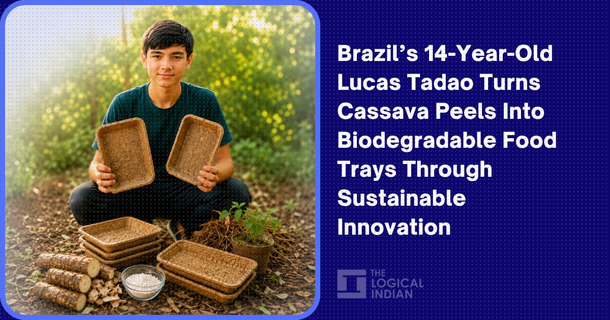 Brazil’s 14-Year-Old Lucas Tadao Turns Cassava Peels Into Biodegradable Food Trays Through Sustainable Innovation
