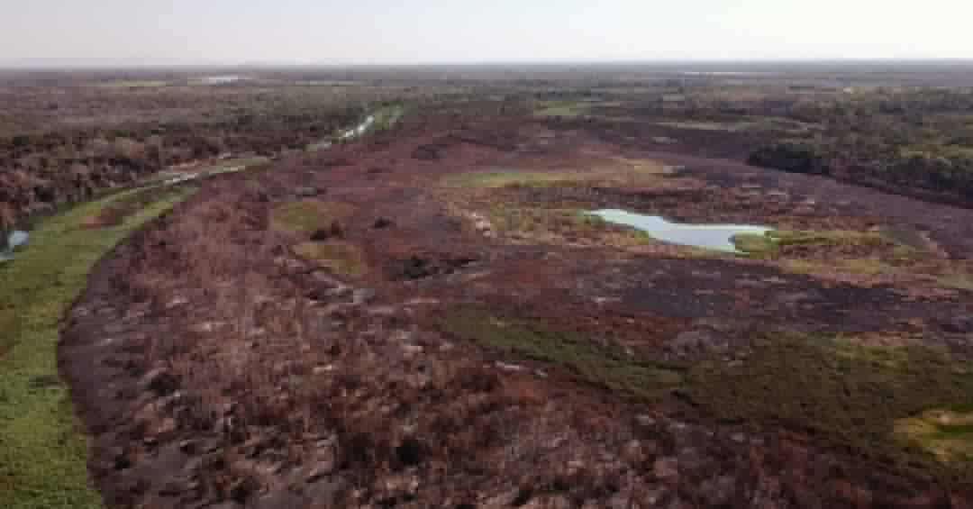 Pantanal perdeu uma Suíça em área alagada nos últimos 40 anos