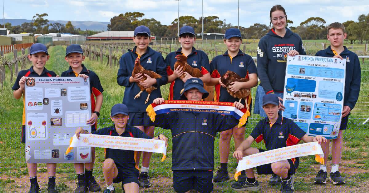 St Mark's College cracks major win in School's Egg Laying Competition