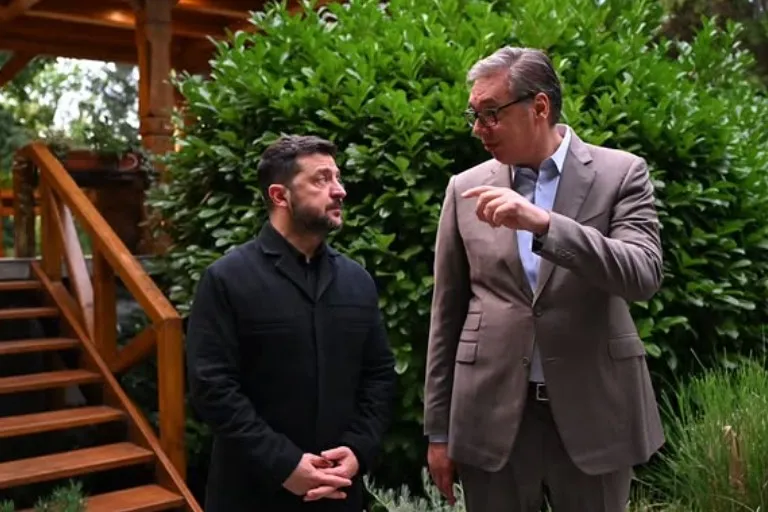 Vucic hosts dinner for Zelenskyy