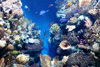June in Belize: Is It the Right Time for Your Vacation?
