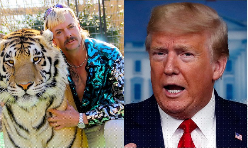 Netflix’s ‘Tiger King’ Turns Joseph Maldonado–Passage AKA Joe Exotic, Jeff Lowe, And Carole Baskin Into Media Sensations As President Donald Trump Gets In The Mix
