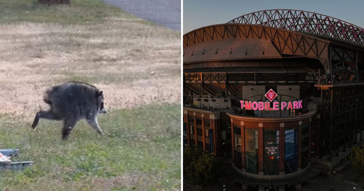 Mariners give fans extra opportunity to score Jimothy gear after ticket special sells out