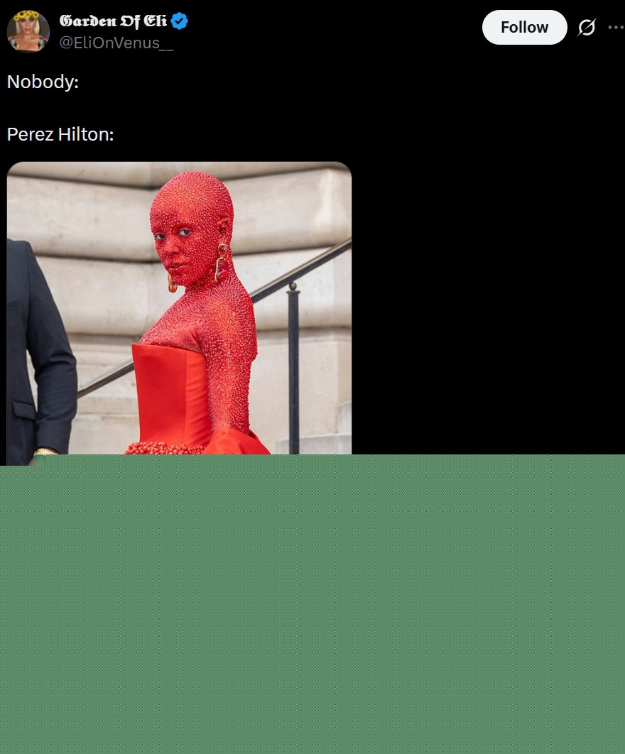Perez Hilton Self-Harm TikTok Live Stream - "Nobody: Perez Hilton:"