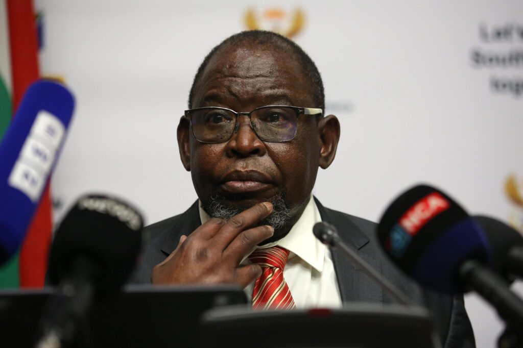 Africa must quell its reliance on outside money, Godongwana says