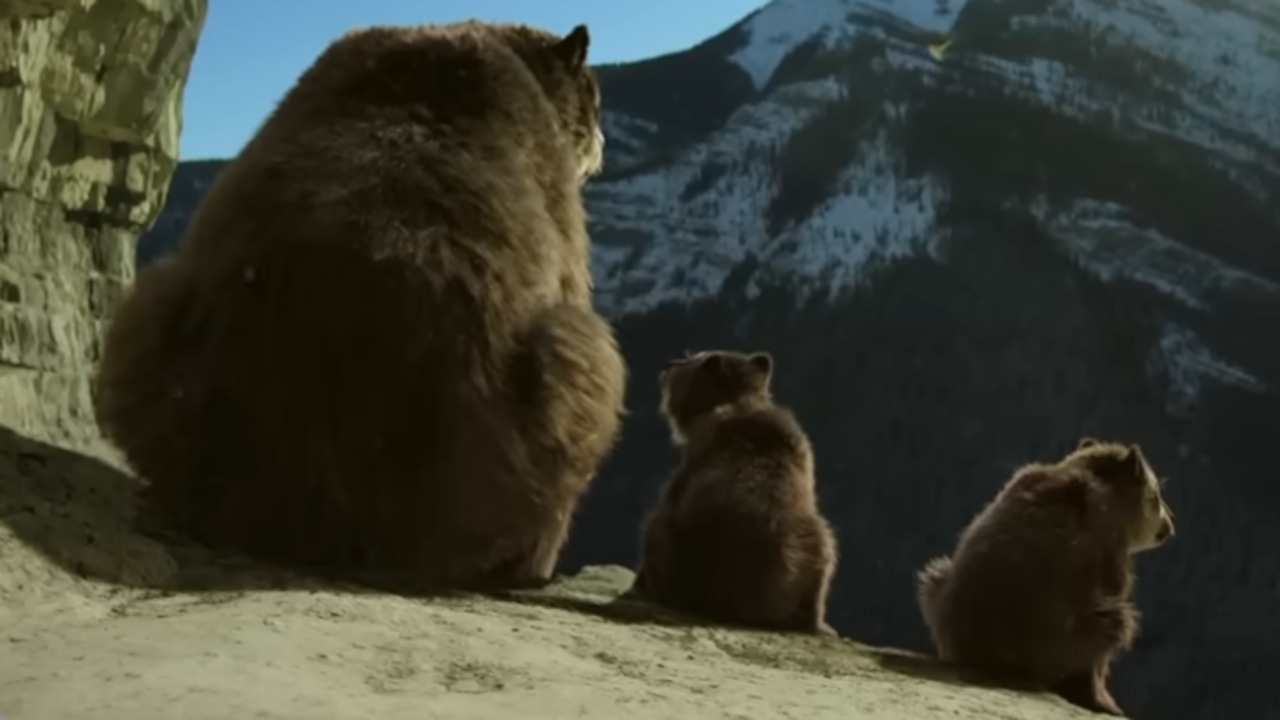 Where to watch ‘Surviving Earth’ series finale for free tonight