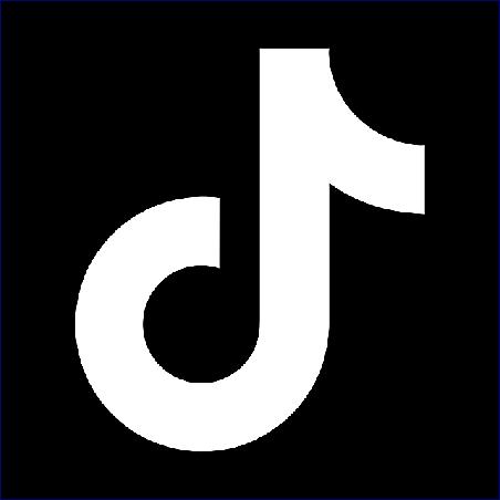 TikTok viní technické problémy poté, co si uživatelé stěžovali, že blokoval příspěvky kritizující  ICE